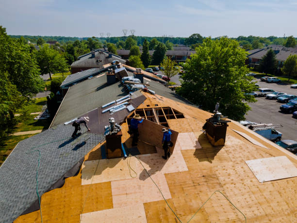 Best Roof Gutter Cleaning  in Mcconnelsville, OH